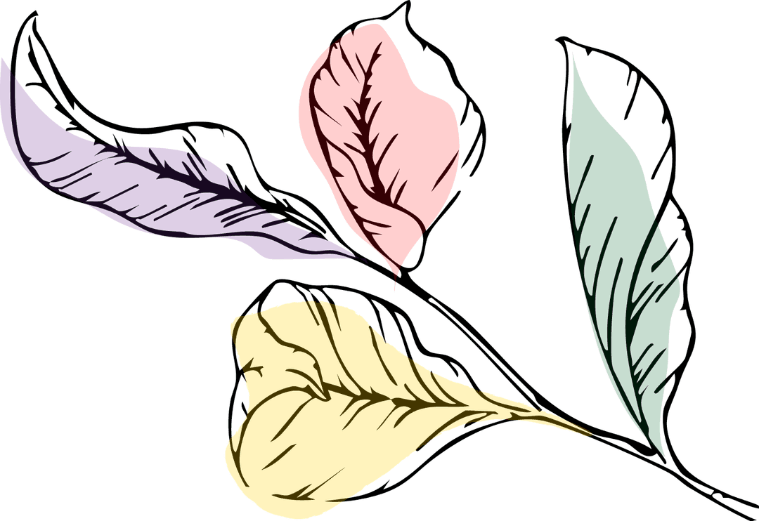 right leaf illustration