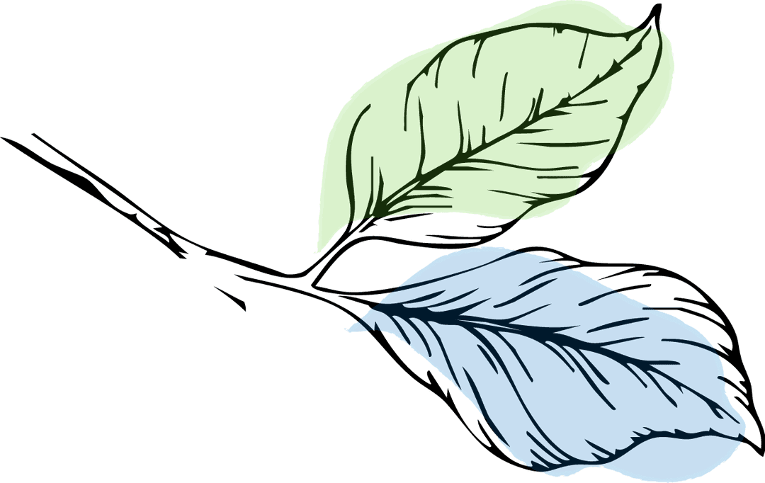 left leaf illustration